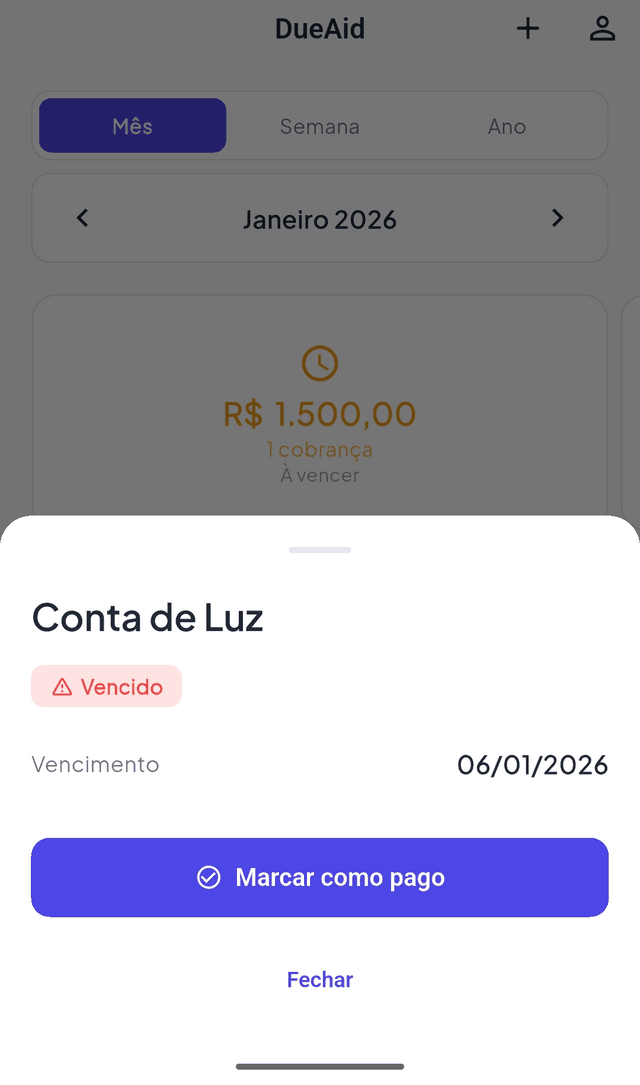 DueAid - Detalhes da conta